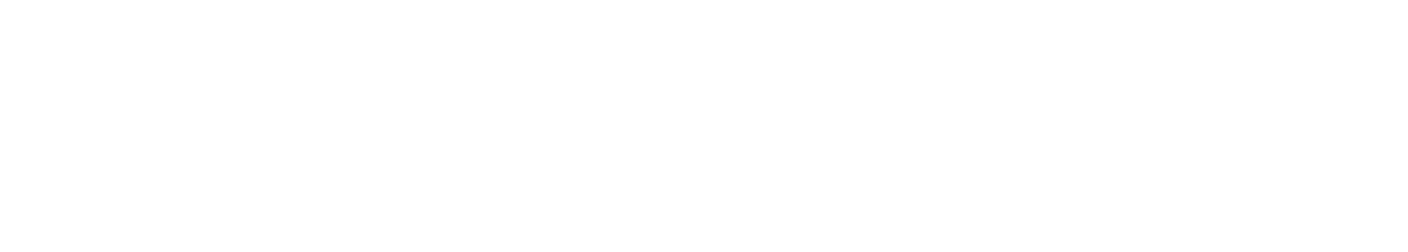 logo MrPunter casino